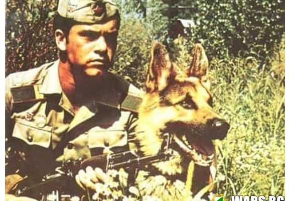 Така се пазеше Родината: Медал и месец отпуска за всеки граничар, застрелял нарушител на границата!